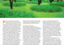 Garden Design Journal New Garden Design Journal Article